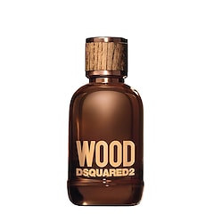 Wood Pour Homme - Toaletní voda, DSQUARED 2